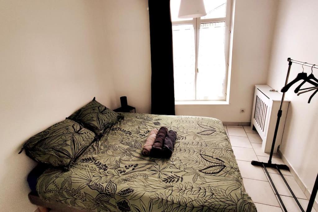 Logement Entier Proche Tribunaux 杜埃 外观 照片